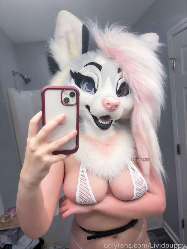 I showed you my tits, please reply 😵‍💫

#busty #tits #boobs #yiff #egirl #furry #fursuit #nsfw 