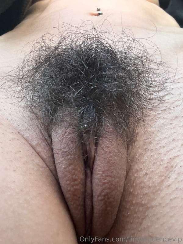 tinyprudencevip image #7