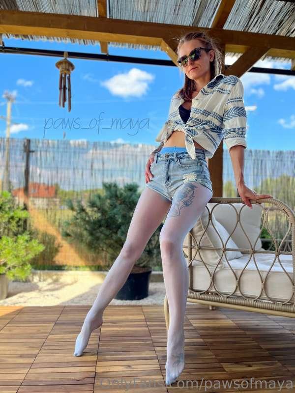 pawsofmaya image #11