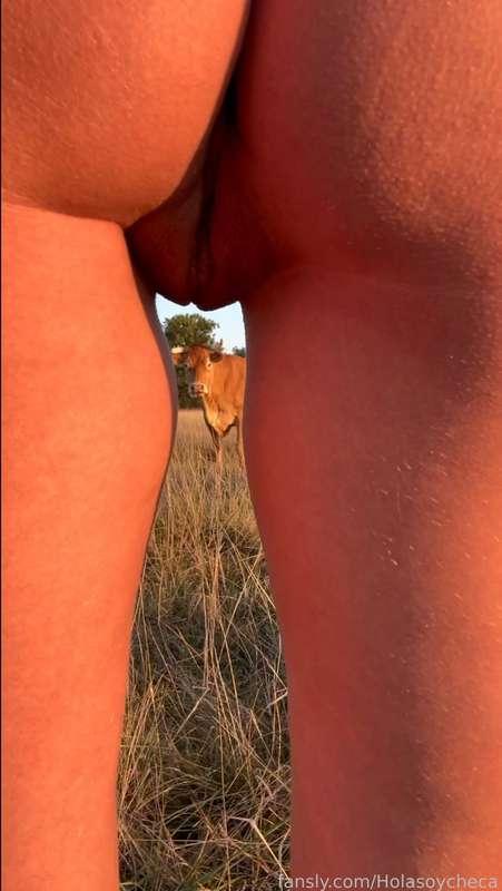 holasoycheca image #0