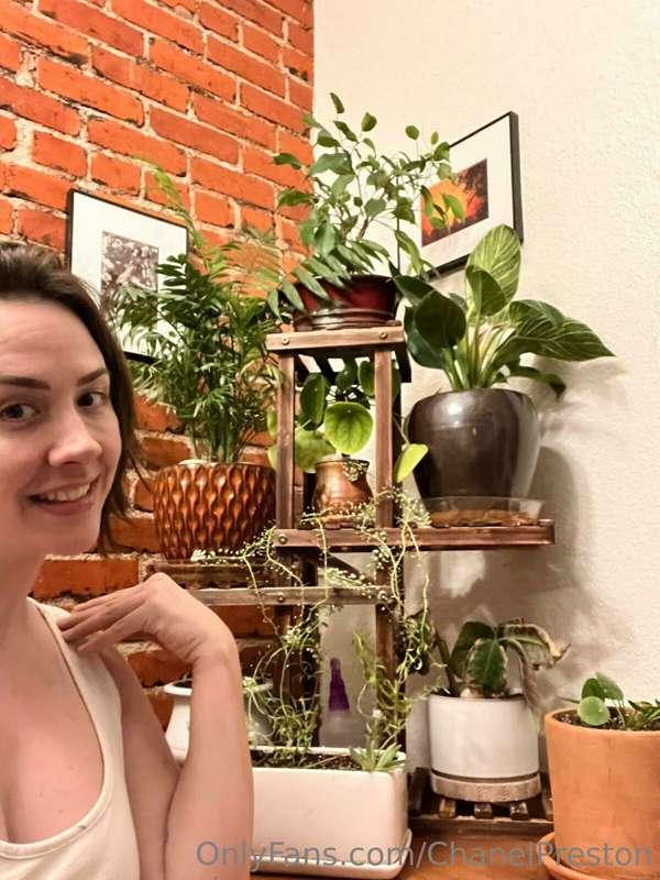 Loving all this sunshine for my plant babies! 🌿