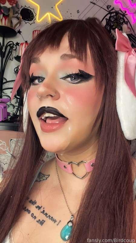 coophound image #12