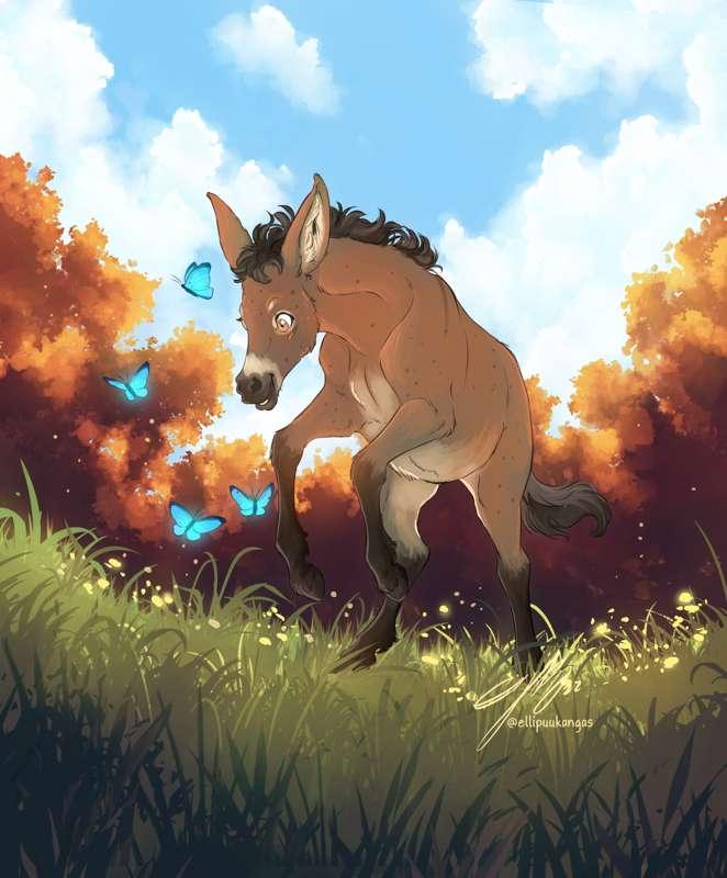 Commissions - Donk