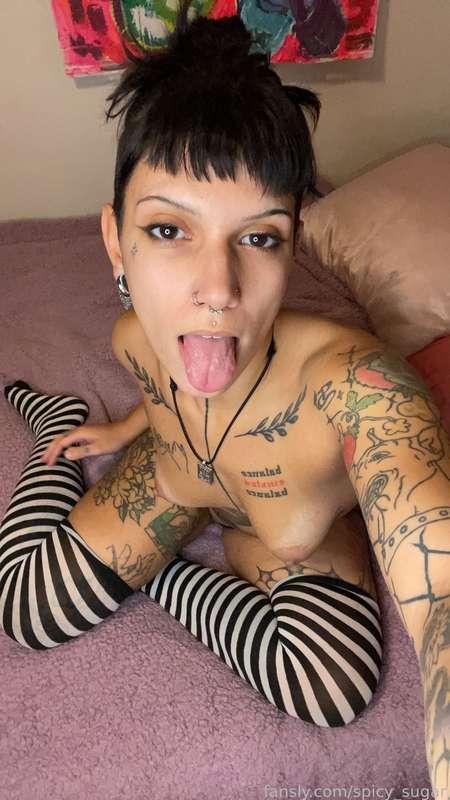 sugarisspicy image #2