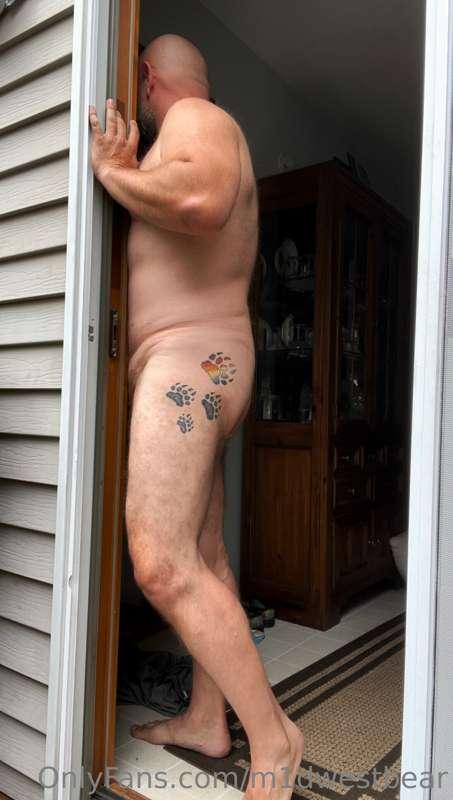 m1dwestbear image #5