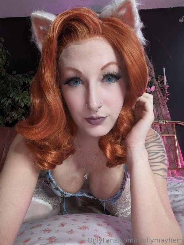 mollymayhem image #3