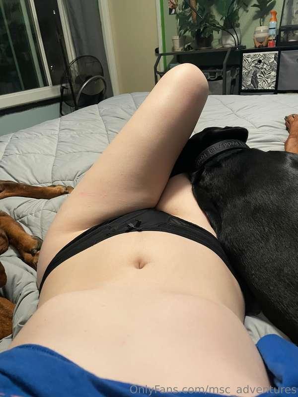 msc_adventures image #1