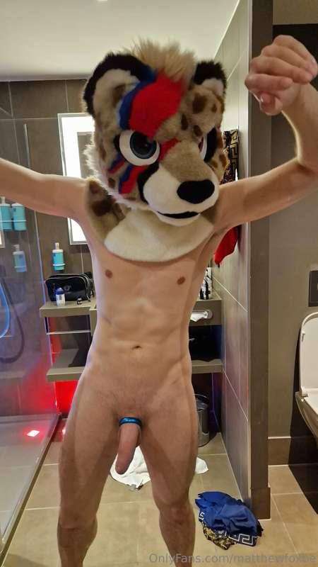 Ziggy is really happy to see you, come on in :3