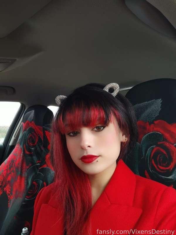 vixensdestiny image #2