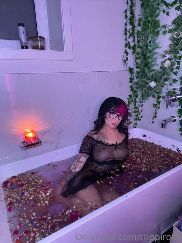 trippirose image #15