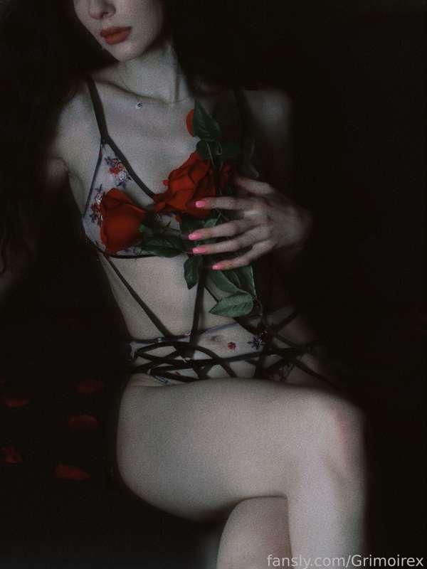Covered up! 🌹