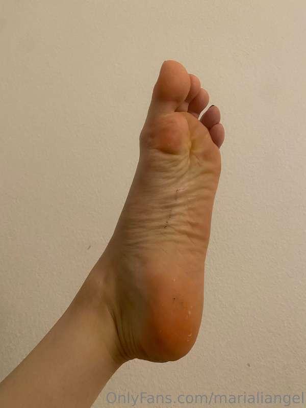 Wanna lick these dirty piggies?