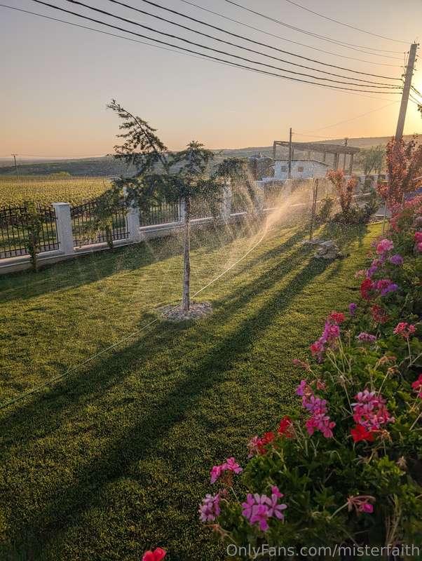 misterfaith image #2