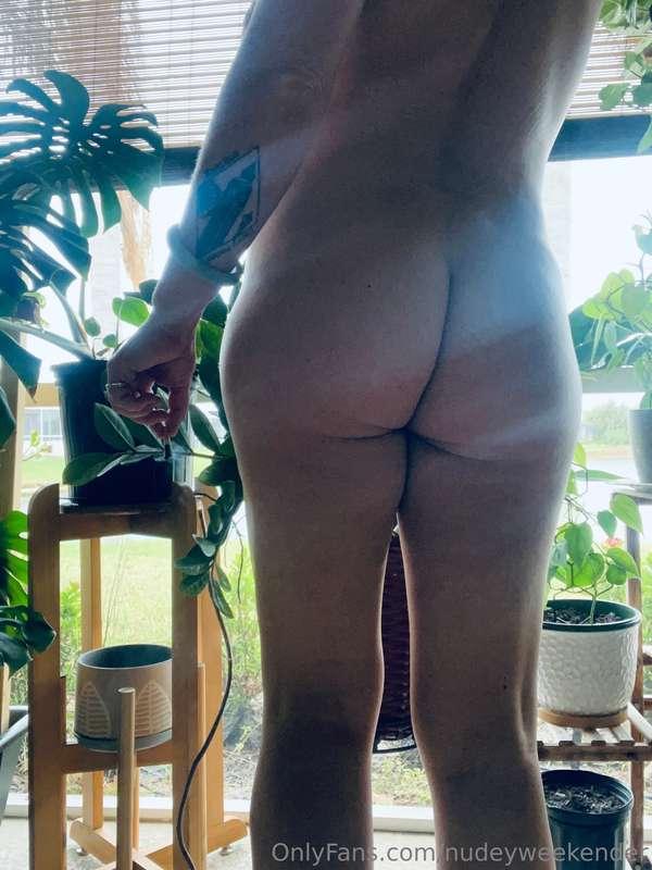 And god looked down upon that ass and said ‘that is one fine..