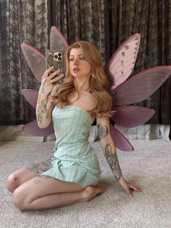 imsadspice image #0