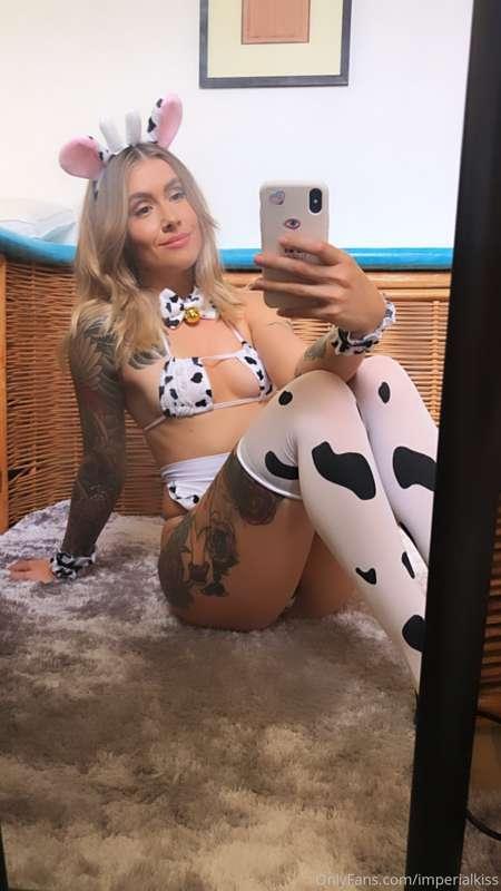 🐮 moooooo