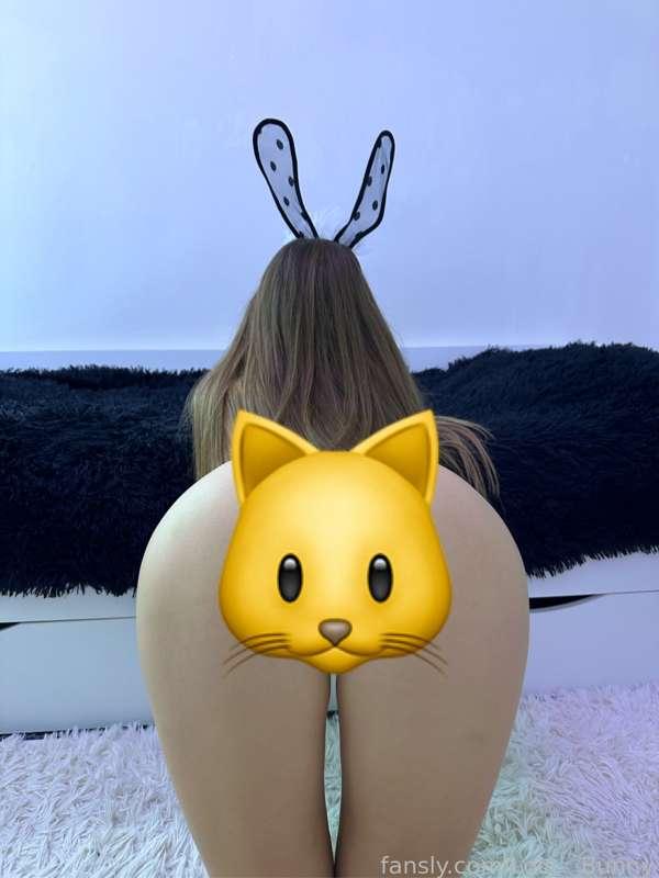 lola__bunny image #0