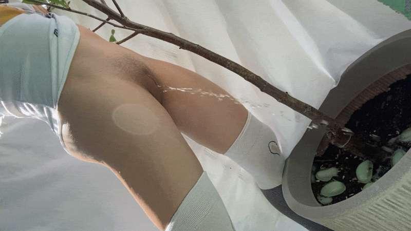 kinkysis image #0