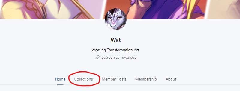 New Collections Tab!