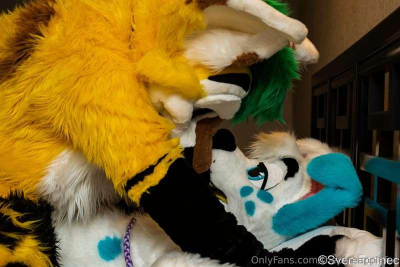 thepineapplefox image #0