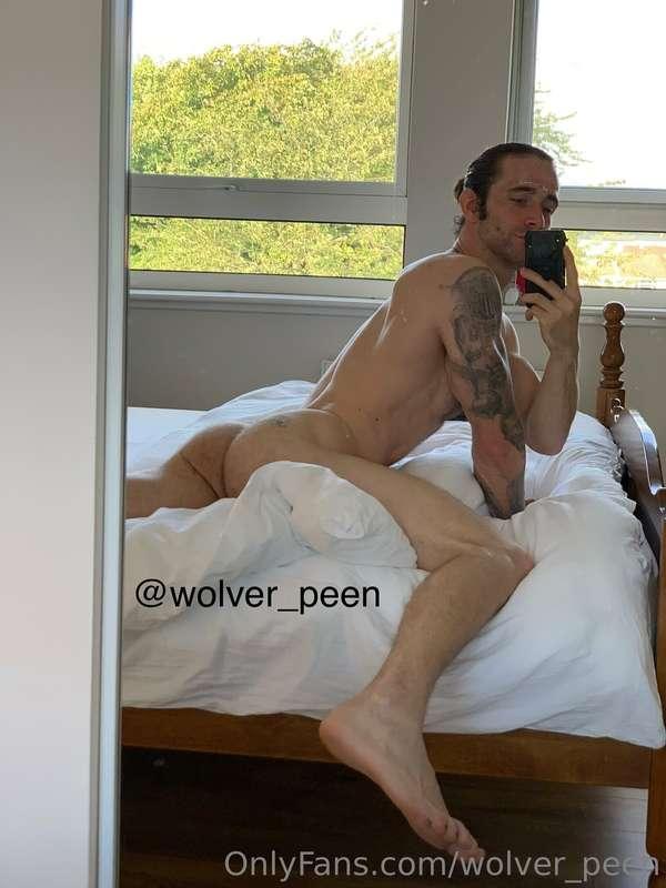 wolver_peen image #4