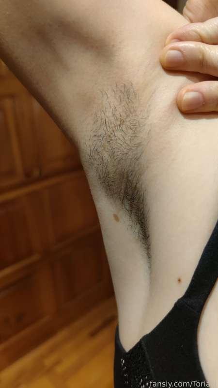 toria_l image #0