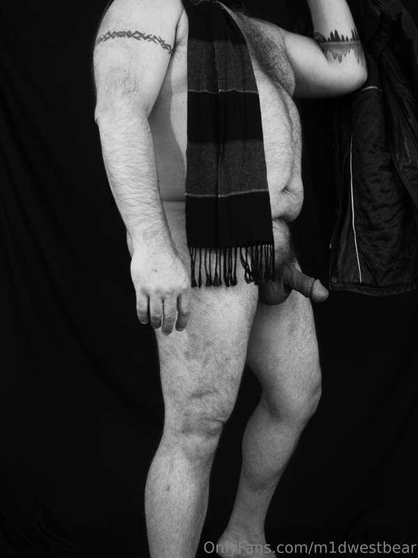 m1dwestbear image #3