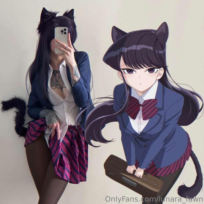 Komi 🐾