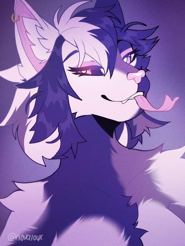 Meow PSD File! <3