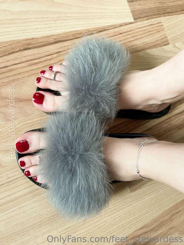 feet_stewardess image #0