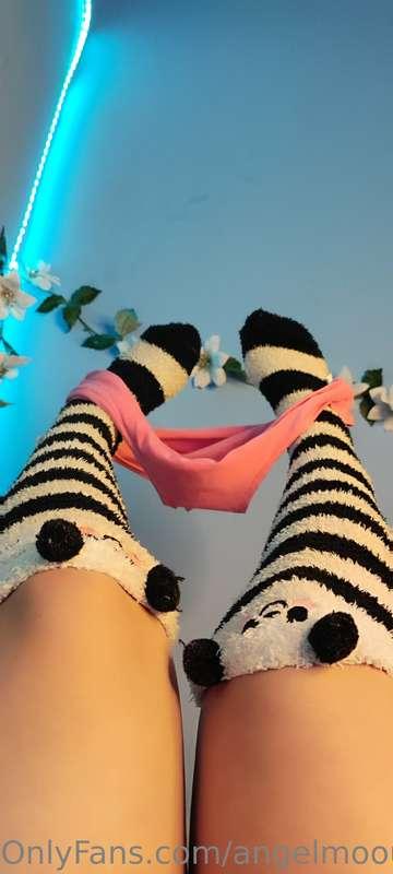 piinkcat image #0