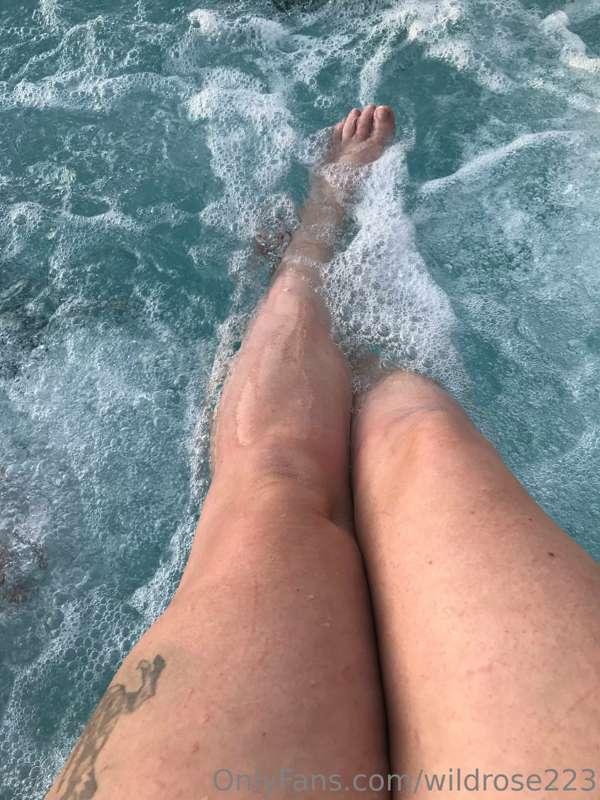 wildrose223 image #0