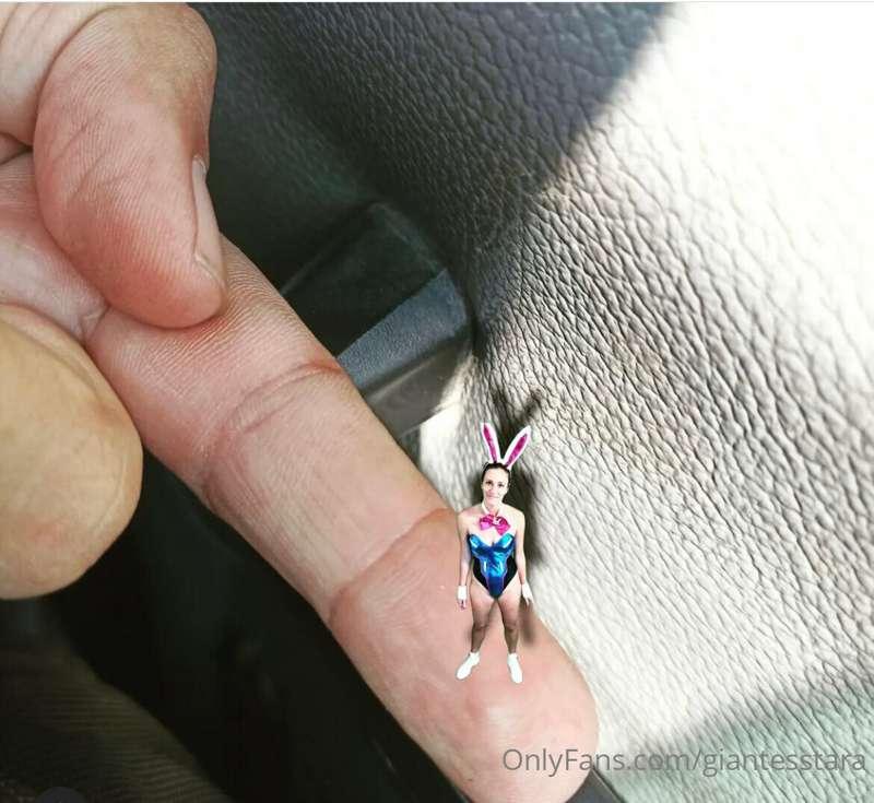 Happy Tiny Tuesday! It’s me…I’m Tiny. What would you like to..