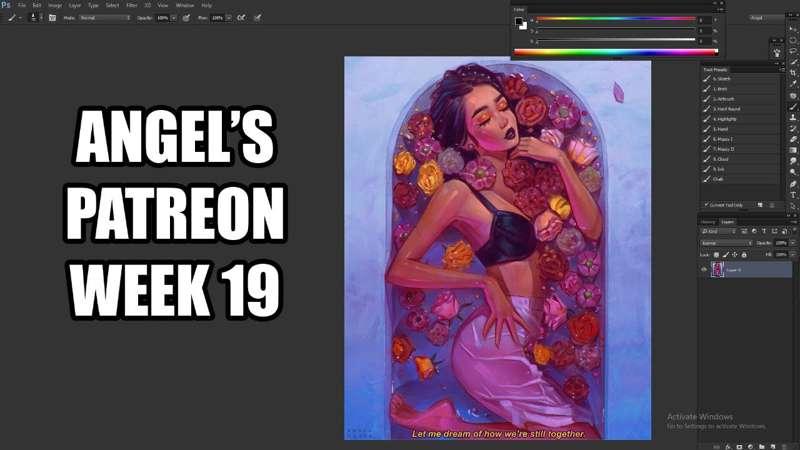 Special Livestream - WEEK 19
