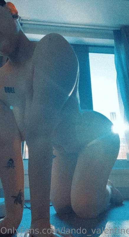 I’ve been told the sun doesn’t shine from my ass but I beg t..