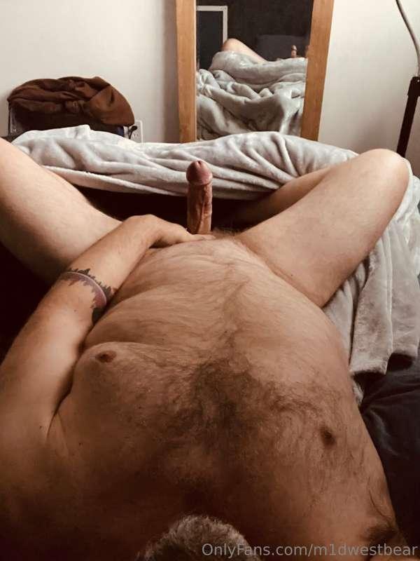 m1dwestbear image #1