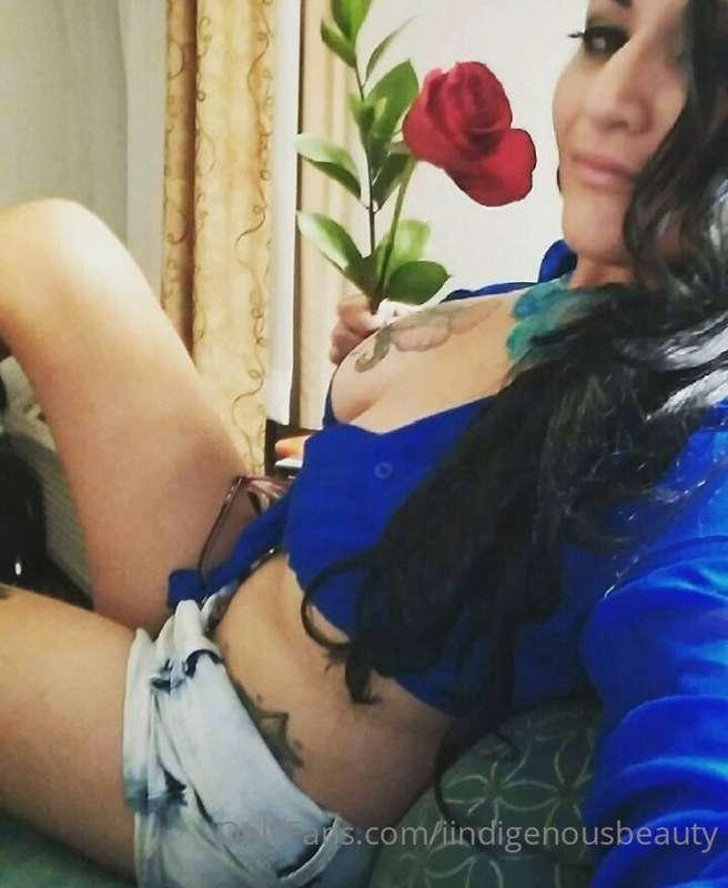 ⚘️⚘️⚘️🌹🌹🌹🌹