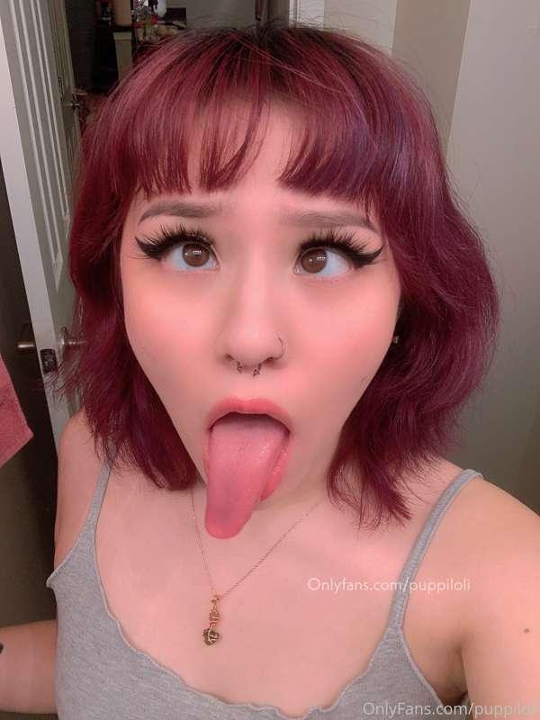 🐶🐶