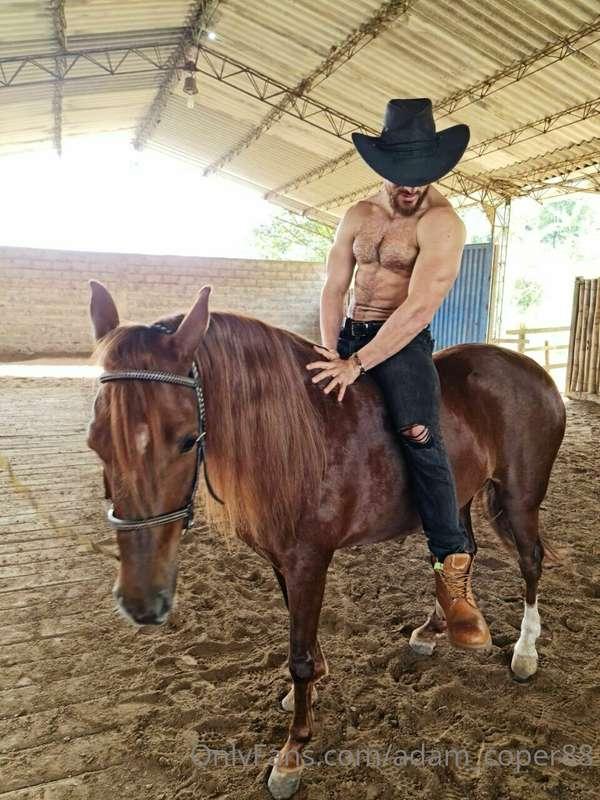 I ride you? 🐎