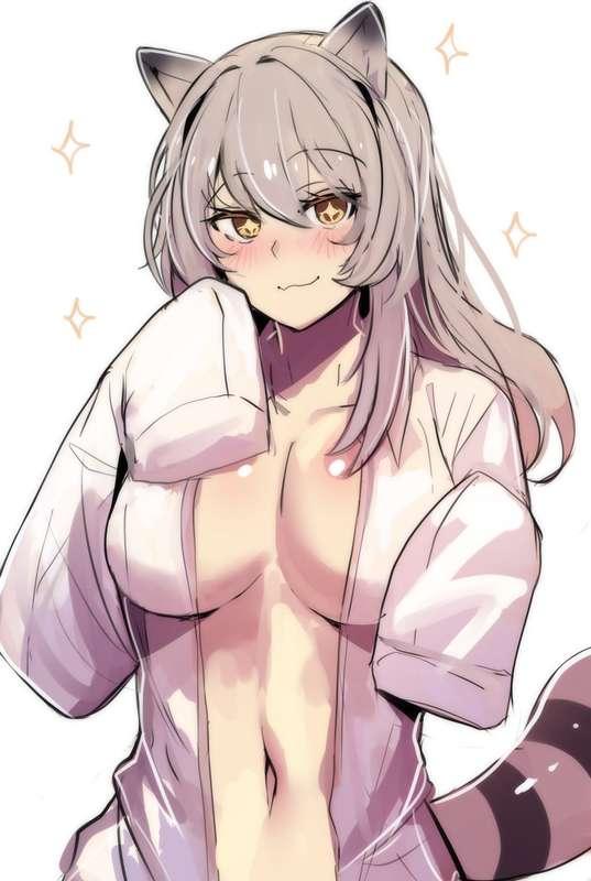 Sparking Raccoon (Lewd)