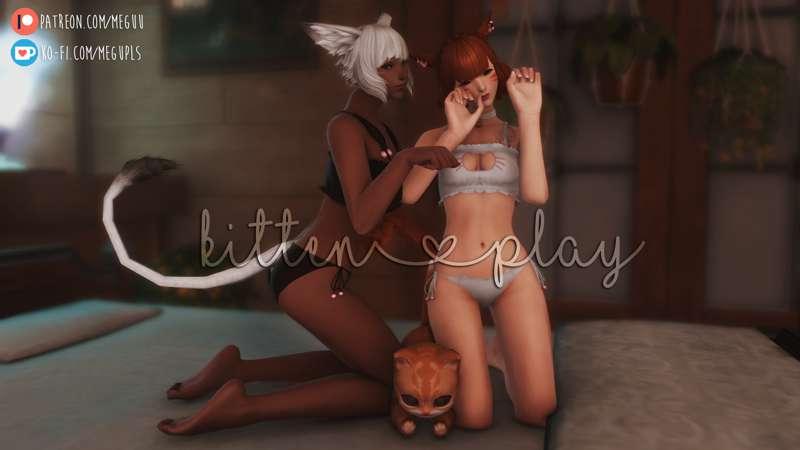 Kitten Play+