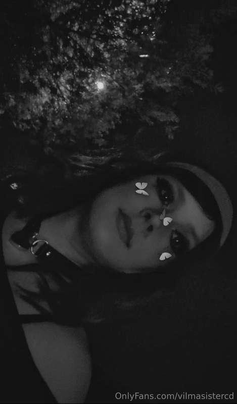 vilmasistercd image #1