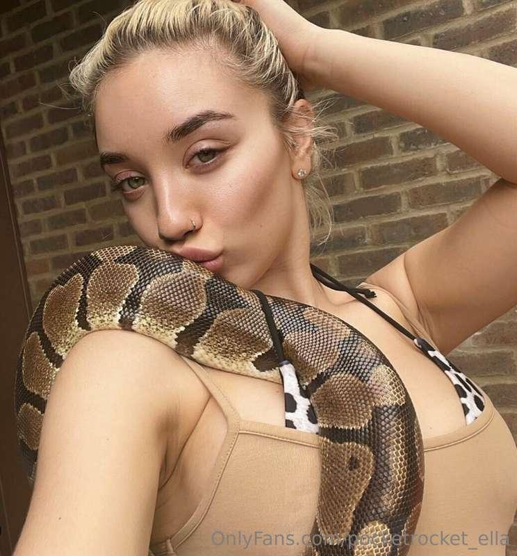 🐍