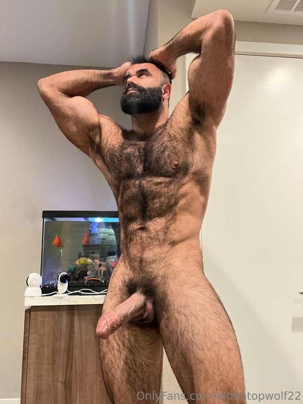 alphatopwolf22 image #1