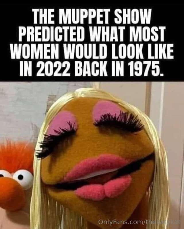 Meme of the Day!