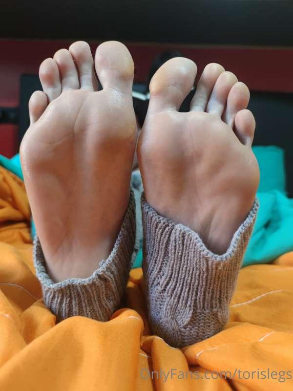 torislegs image #22