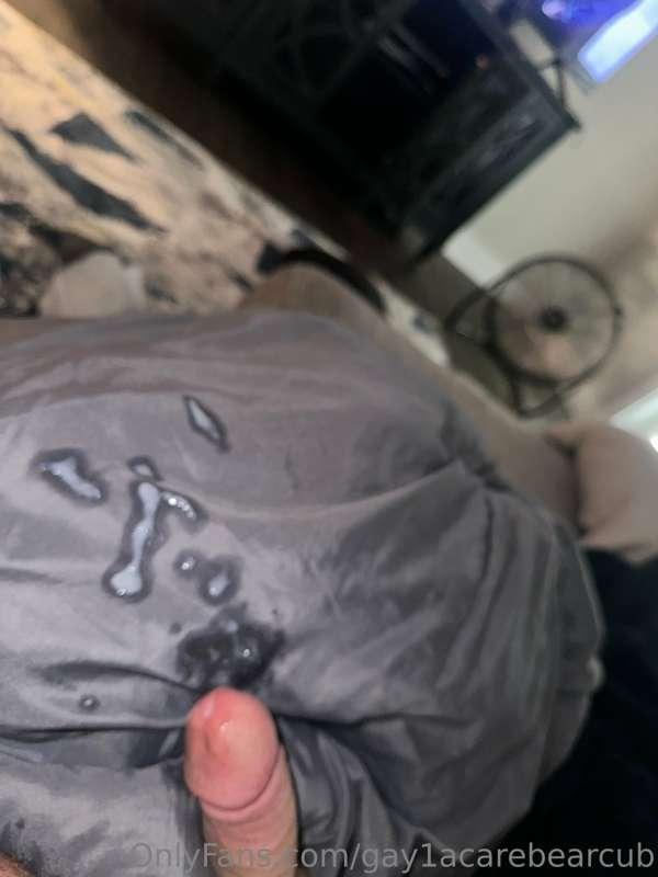 gay1acarebearcub image #0