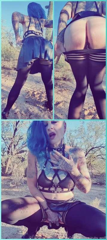 ## 🌵Wild Desert Hoe 🌞
In the middle of the desert, all dress..