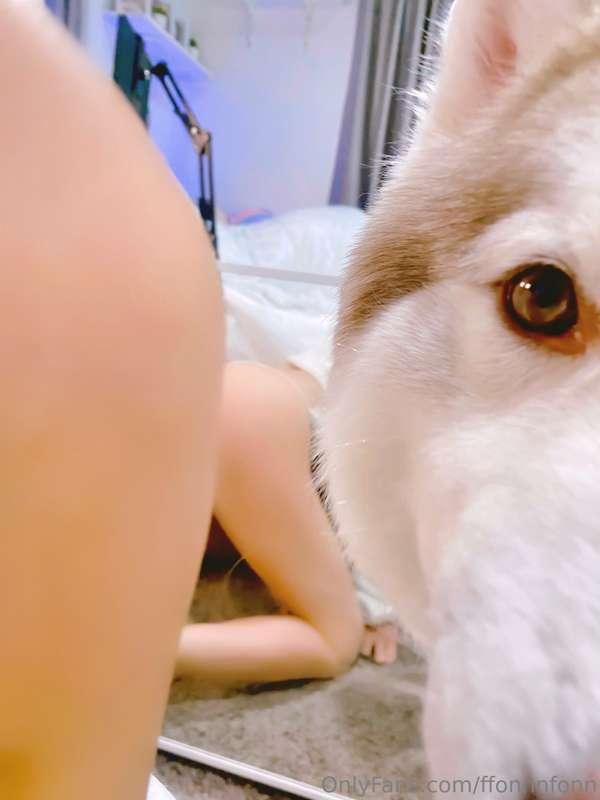 🐶