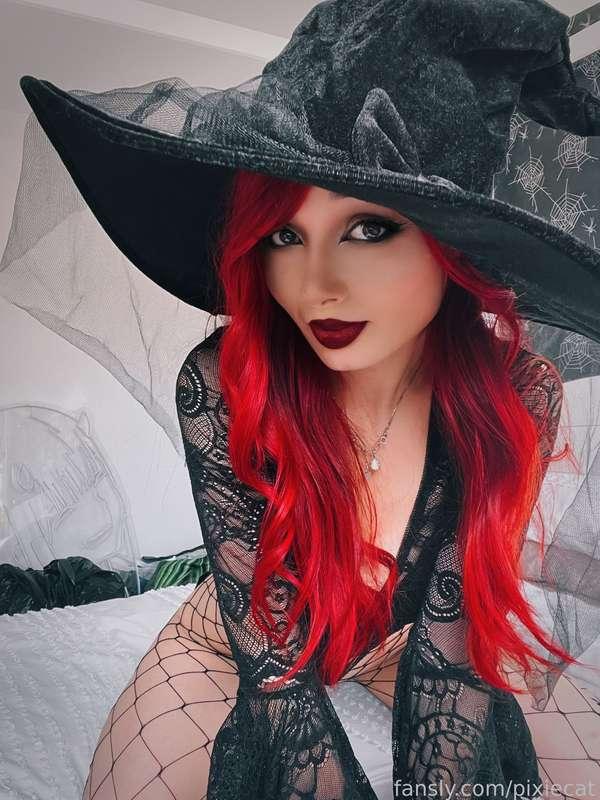 pixiecat image #30